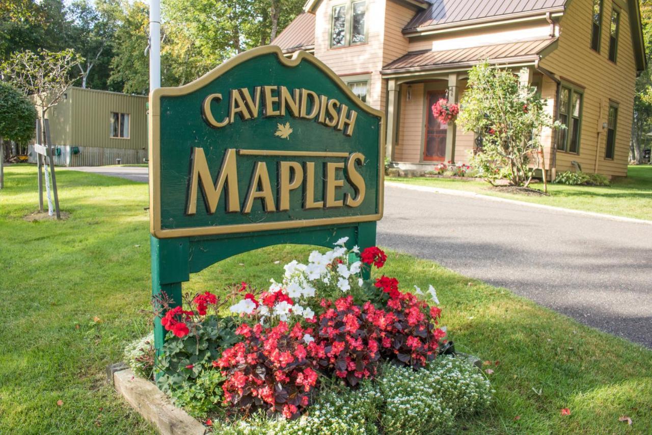 Cavendish Maples Cottages Extérieur photo